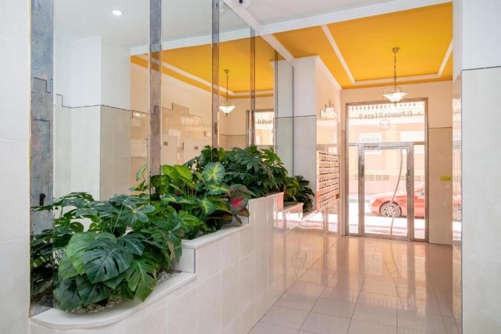 Bonito Apartamento En Torrevieja Buitenkant foto